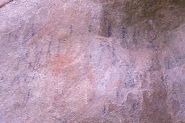 RARI LEE RSA BEI1 40