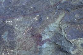 RARI LEE RSA SUI3 27