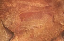 RARI LEE RSA LAR1 16