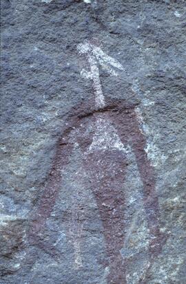 RARI LEE RSA MCU2 43