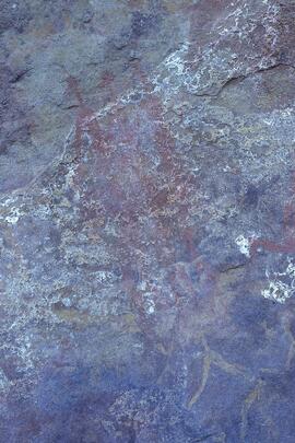 RARI LEE RSA NAU1 34