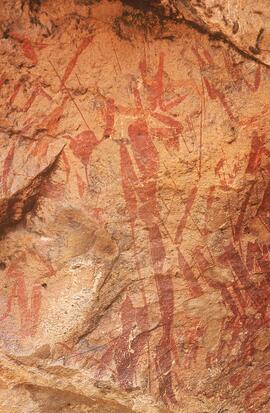 RARI LEE RSA MRI1 70