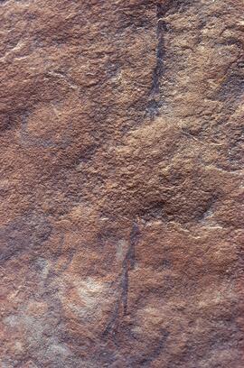 RARI LEE RSA CHR1 84