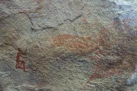 RARI LEE RSA SUI3 28