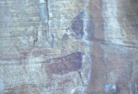 RARI LEE RSA BOA1 112