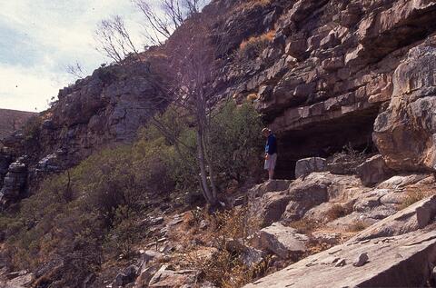 Open original Digital object