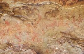 RARI LEE RSA ARA1 33