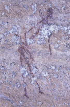 RARI LEE RSA MER3 26