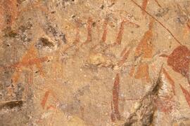 RARI LEE RSA MRI1 74