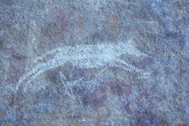 RARI LEE RSA BOA1 57