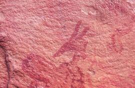 RARI LEE RSA BAD1 41