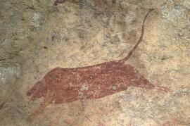 RARI LEE RSA VRE1 56