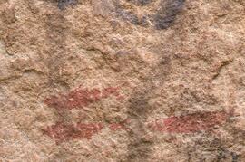 RARI LEE RSA HAO1 14