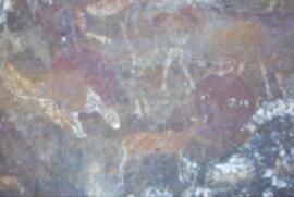 RARI LEE RSA BOA1 115