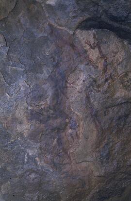 RARI LEE RSA FUE2 37