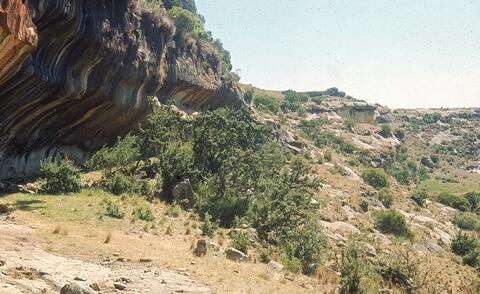 Open original Digital object