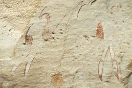 RARI LEE RSA RAD1 53