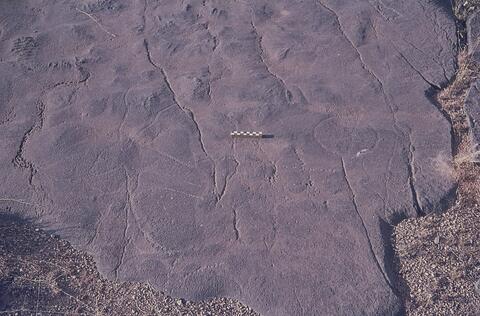 Open original Digitaal object