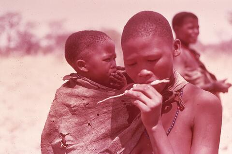 Open original Digital object