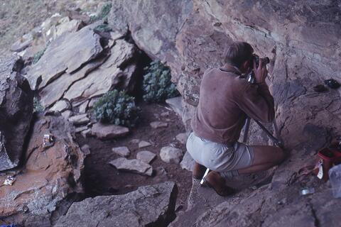 Open original Digital object