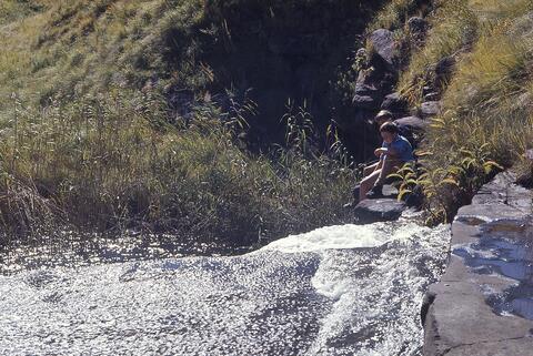 Open original Digital object