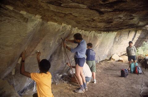 Open original Digital object