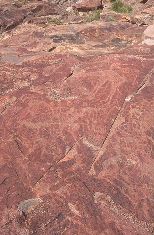 Open original Digital object