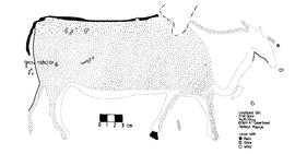 NASMUS RSA MOE1 11R