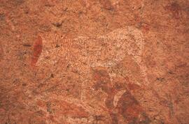 NASMUS NAM TRE1 50