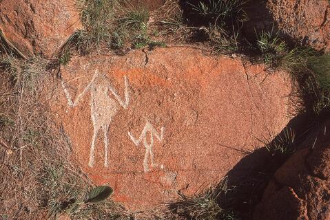 Open original Digital object