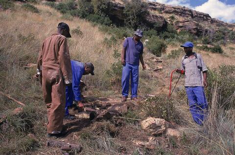 Open original Digital object