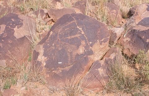 Open original Digital object