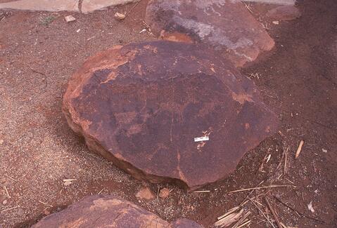 Open original Digital object