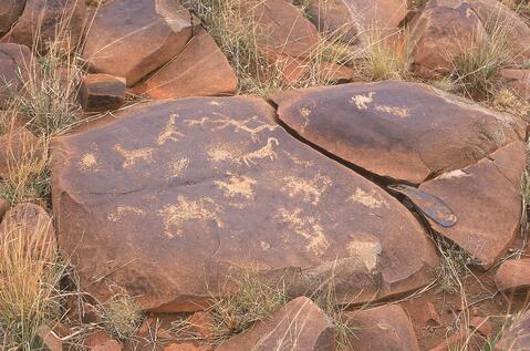 Open original Digital object