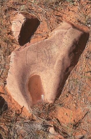 Open original Digital object