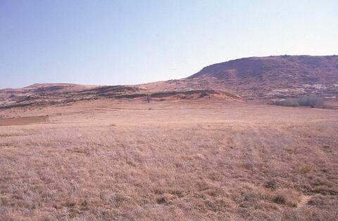 Open original Digitaal object