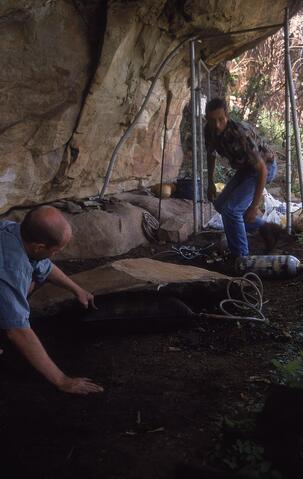 Open original Digital object