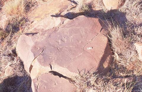 Open original Digital object