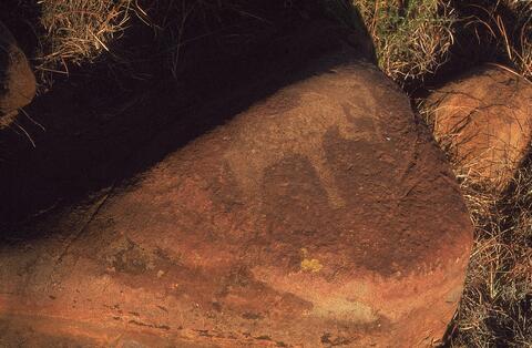 Open original Digital object