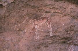 NASMUS RSA HAE1 47