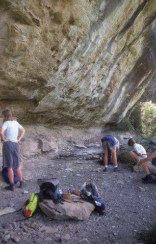 Open original Digital object