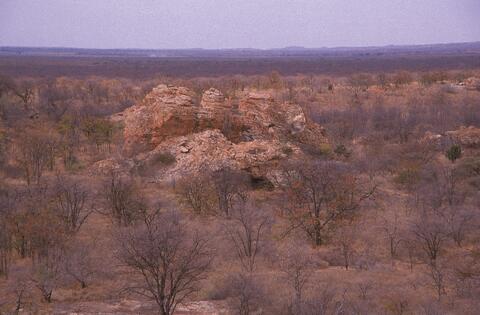 Open original Digital object