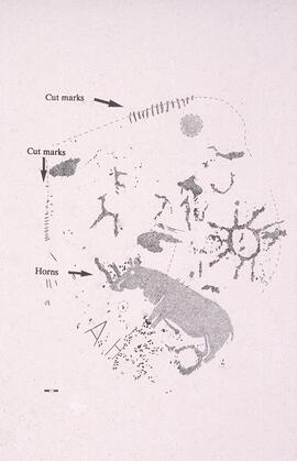 NASMUS RSA STO1 44