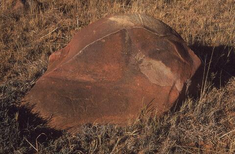 Open original Digital object