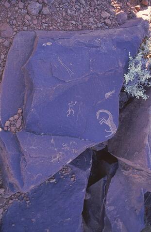 Open original Digitaal object