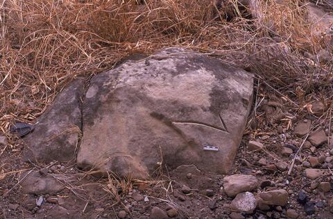 Open original Digitaal object