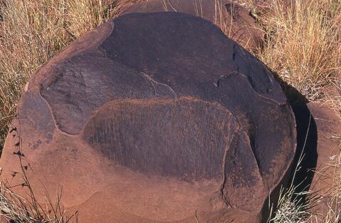 Open original Digital object