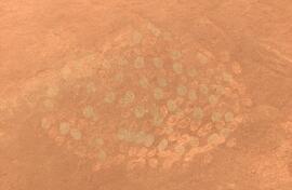 NASMUS 01 103