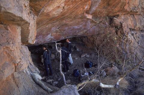 Open original Digital object