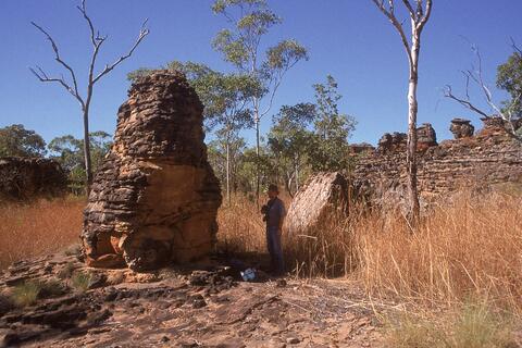 Open original Digital object